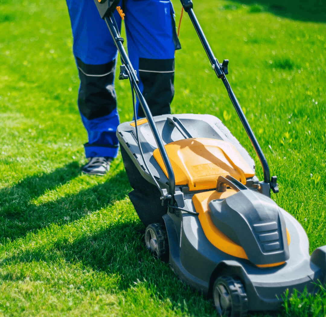 Lawn Maintenance Services 2 house111