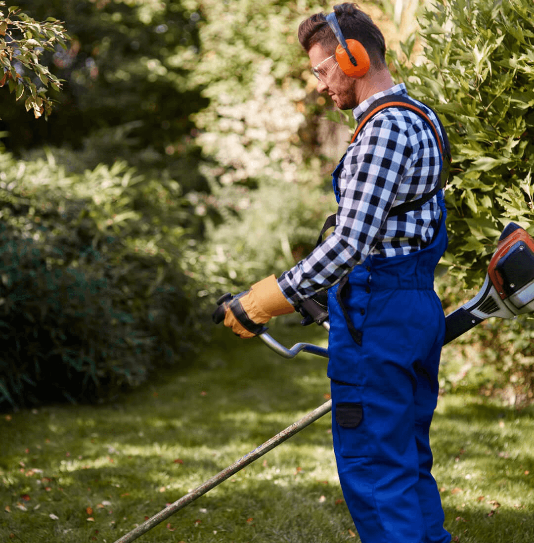 Lawn Maintenance Services 3 house121