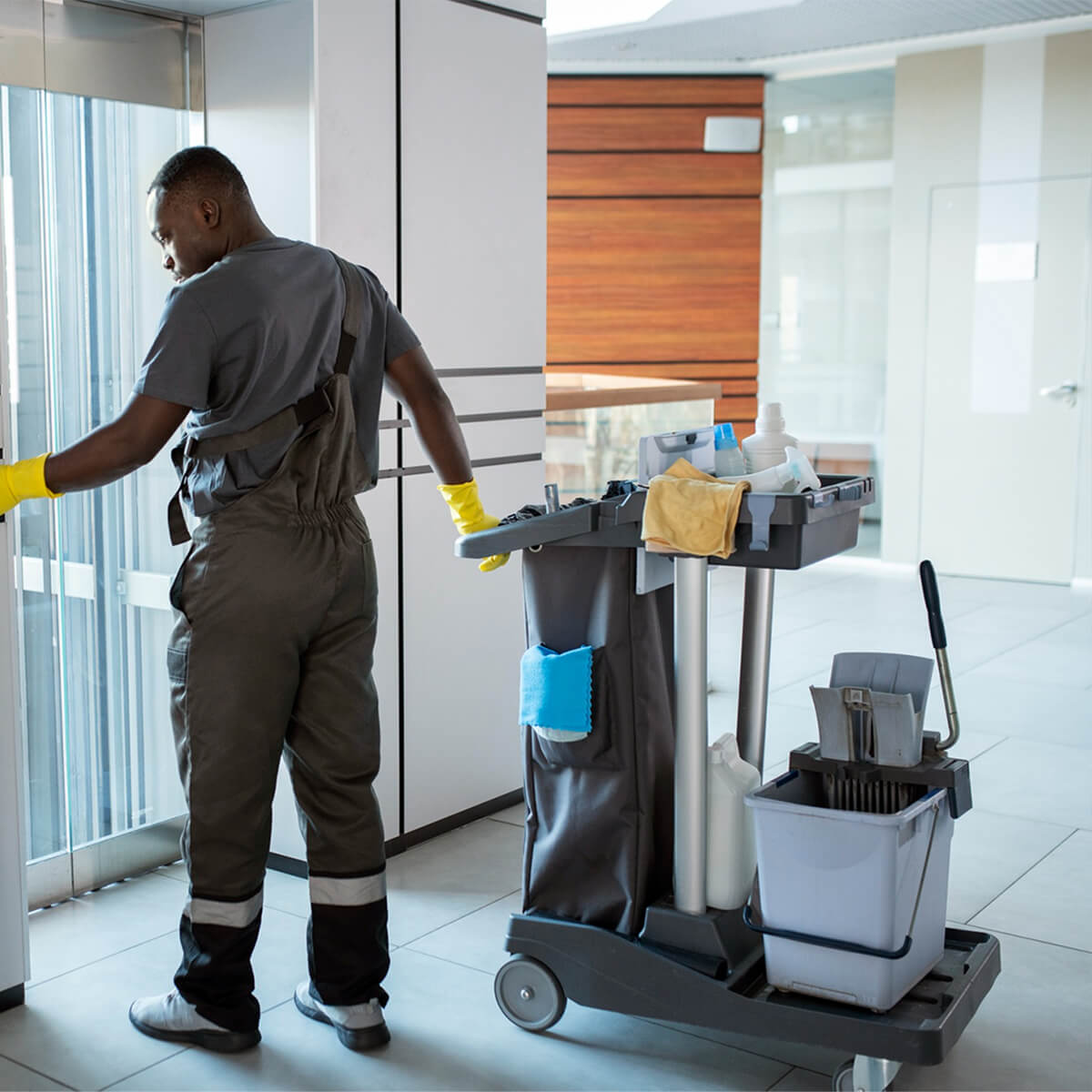 Cleaning Services Brampton