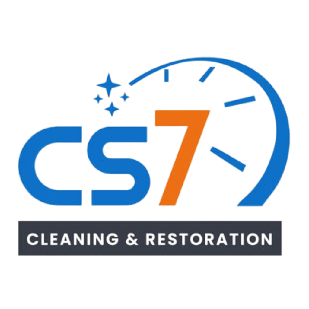 Cleaning Service7