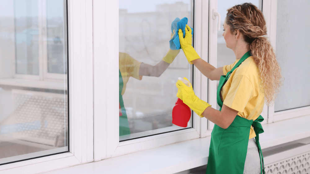 Window Cleaning Services 2 Your paragraph text 17