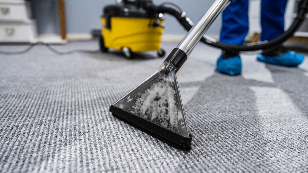 Carpet Cleaning Services 3 Your paragraph text 4