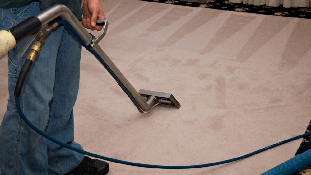 Carpet Cleaning Services 2 Your paragraph text 5