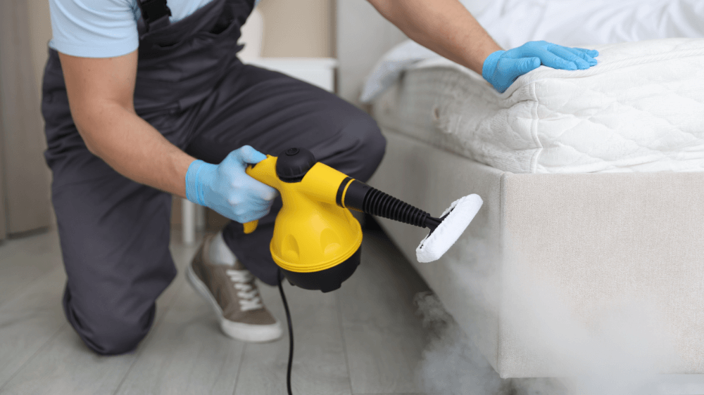 Duct Cleaning Services 3 Your paragraph text 7