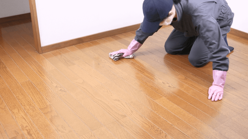 Floor Stripping and Waxing Services 3 Your paragraph text 9